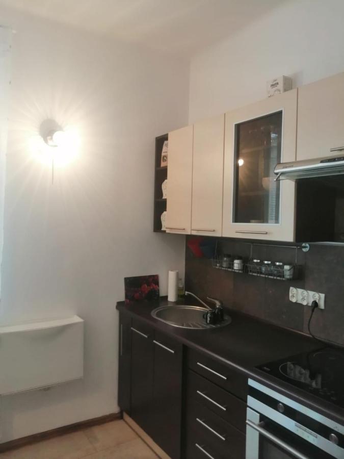 Parkowy Apartment ビィドゴシュチュ エクステリア 写真